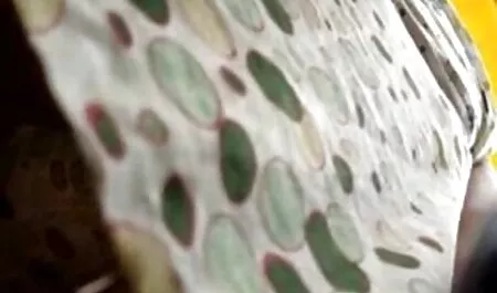 Creampie Il deutsche pornofilme free lui ejacule dans la chatte! Französischer Amateur